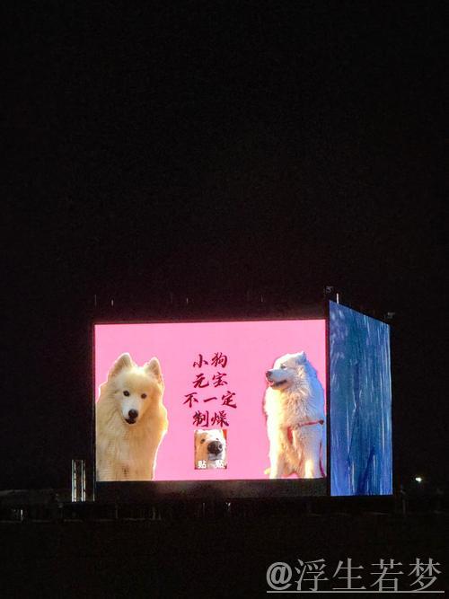 天津重建刻不容缓：告别中生代，全力扶持青年力量，陈方去留成焦点