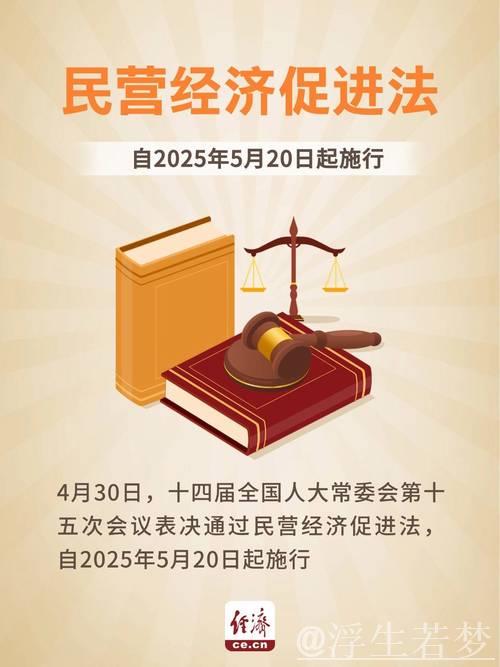 依法护航民营经济发展——民营经济促进法施行纪实 依法护航民营经济发展——民营经济促进法施行纪实