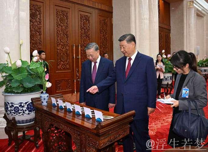 习近平与越共中央总书记苏林举行会晤